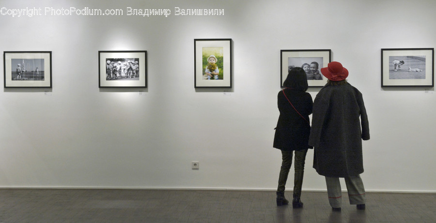 Human, People, Person, Art, Art Gallery
