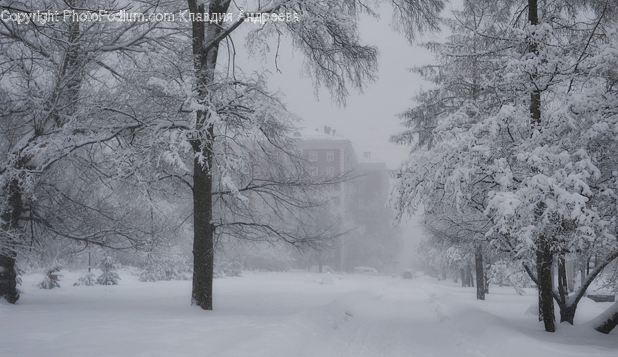 Outdoors, Snow, Blizzard, Nature, Storm