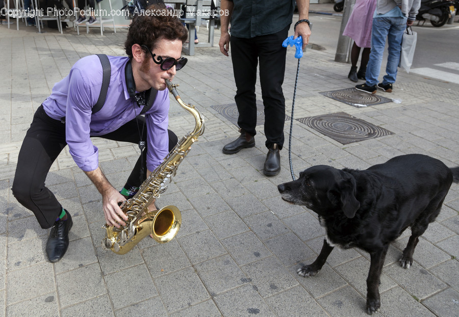 Human, People, Person, Leisure Activities, Music