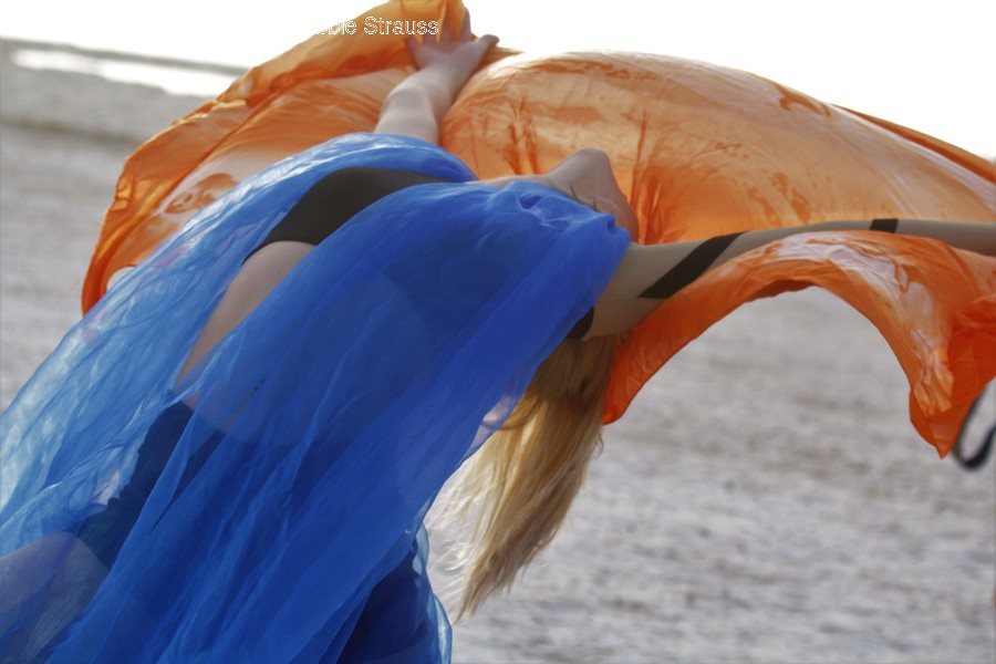 Animal, Beak, Bird, Inflatable, Clothing
