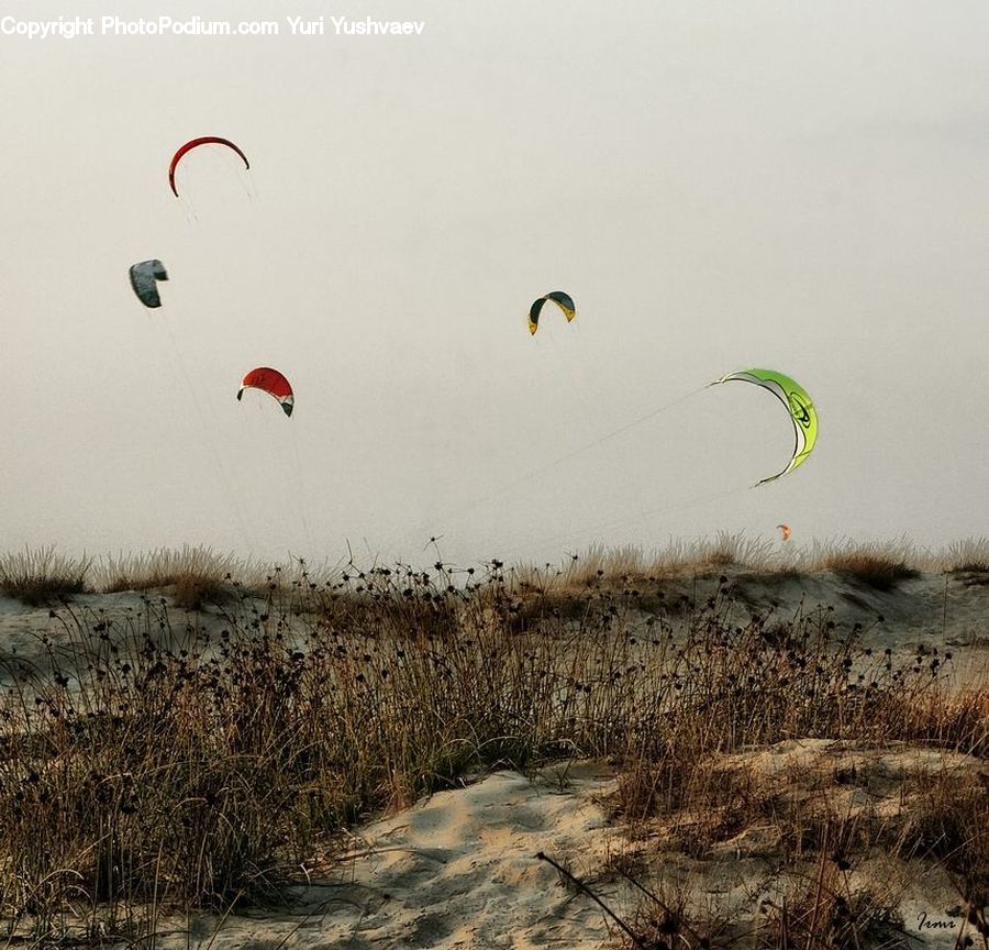Kite, Adventure, Flight, Gliding, Field, Grass, Grassland