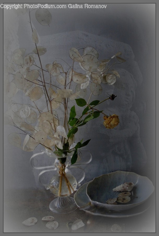 Art, Blossom, Flora, Flower, Flower Arrangement