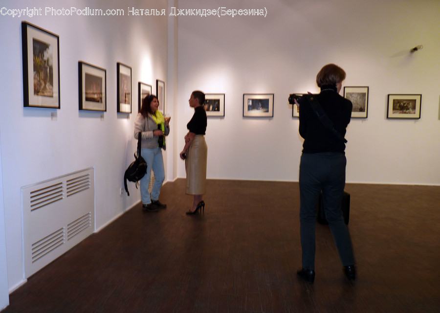 Human, People, Person, Art, Art Gallery