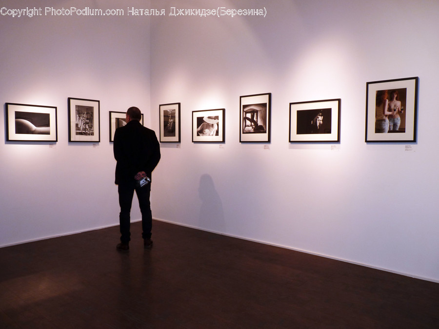 Human, People, Person, Art, Art Gallery