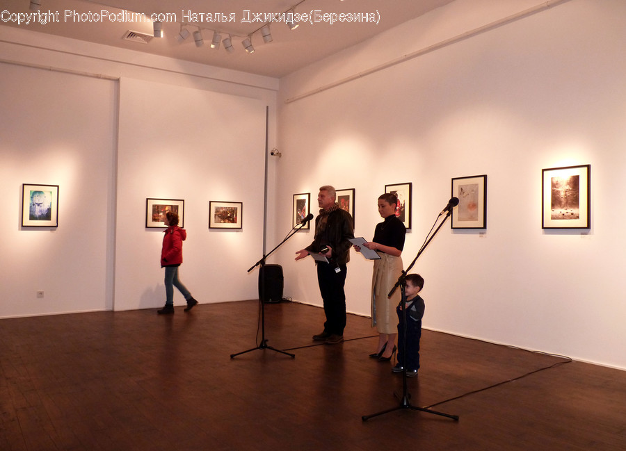 Art, Art Gallery, Modern Art, Hardwood, Wood