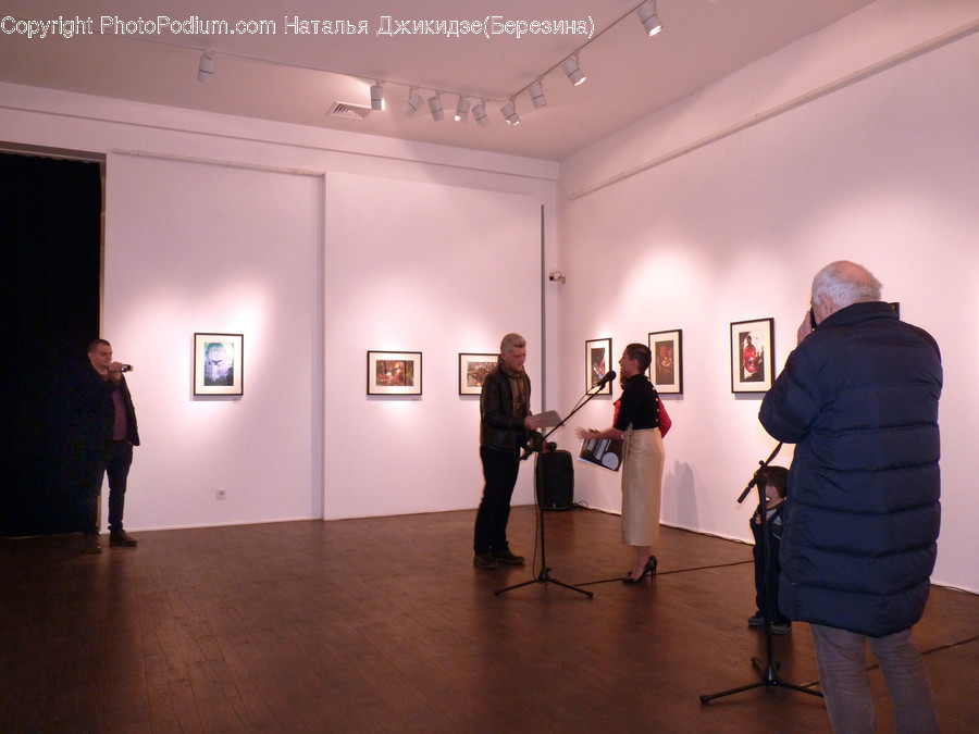 Human, People, Person, Art, Art Gallery