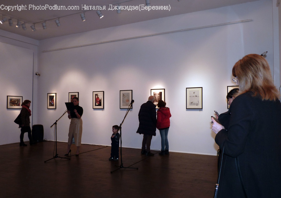 Human, People, Person, Art, Art Gallery