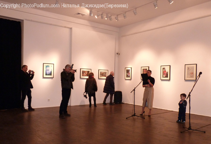 Human, People, Person, Art, Art Gallery