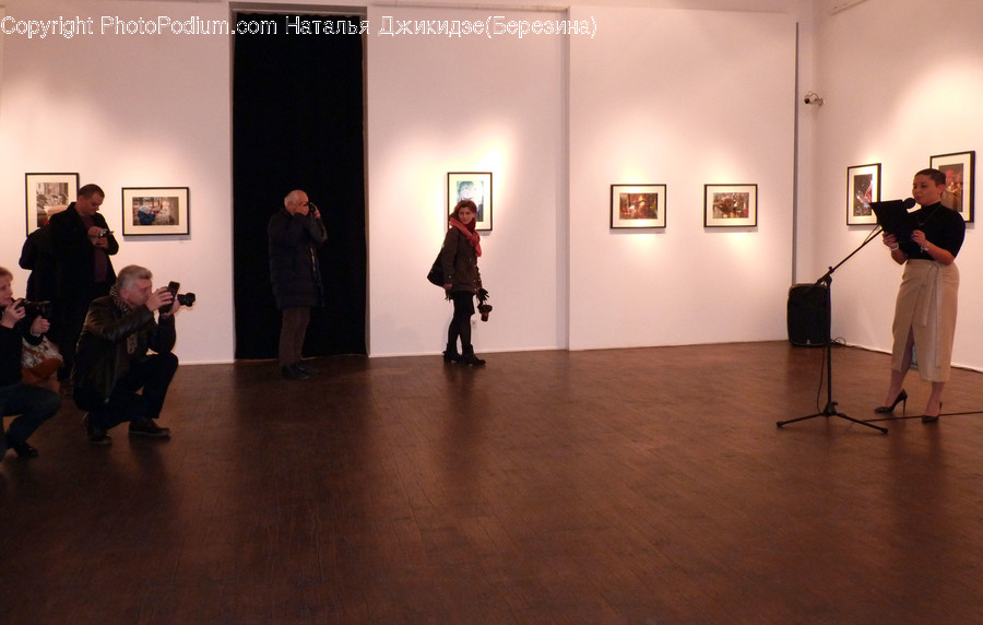 Human, People, Person, Art, Art Gallery