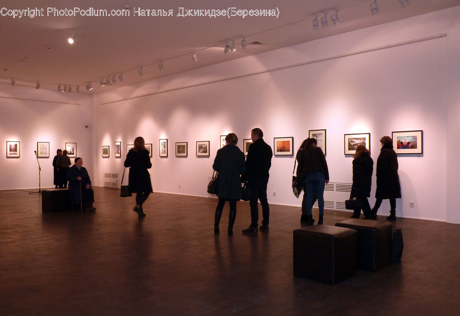 Human, People, Person, Art, Art Gallery