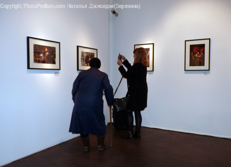 Human, People, Person, Art, Art Gallery