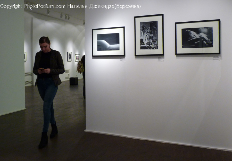 Human, People, Person, Art, Art Gallery