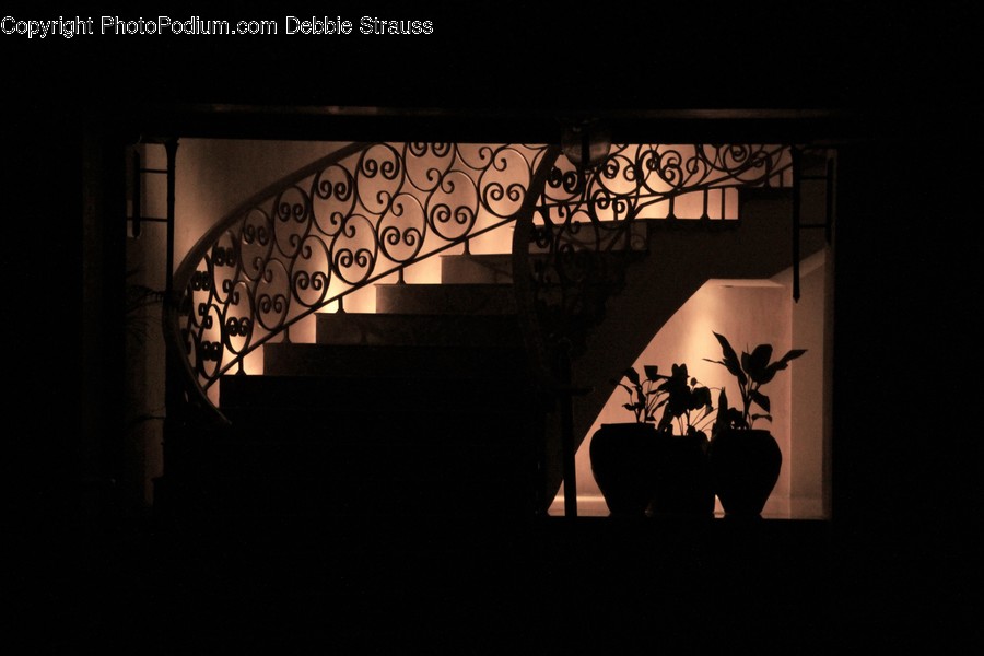 Flora, Jar, Plant, Potted Plant, Pottery