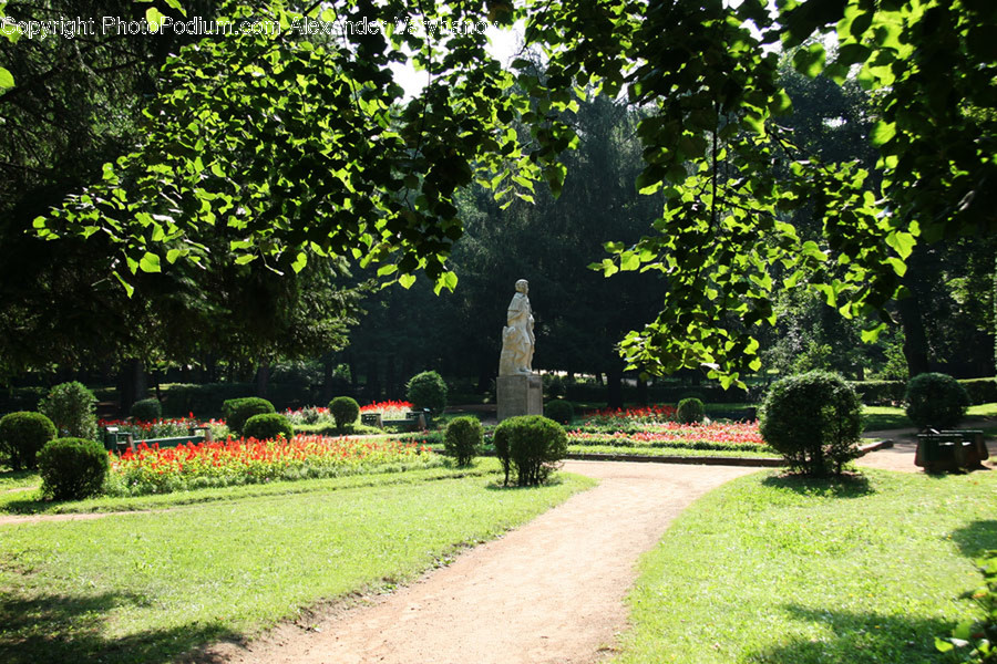 Art, Sculpture, Statue, Flora, Ivy