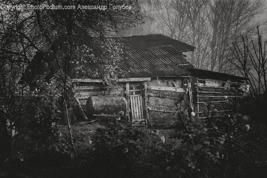 Building, Countryside, Hut, Nature, Outdoors