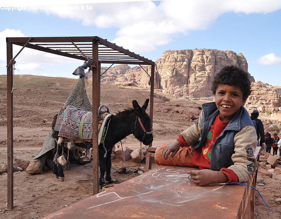People, Person, Human, Animal, Donkey, Horse, Mammal
