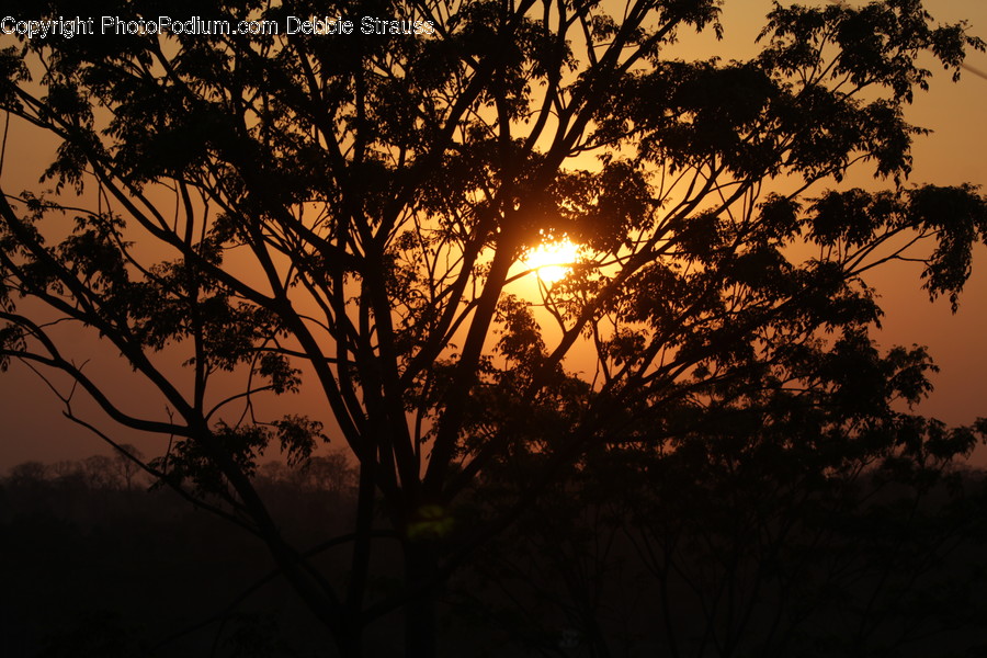 Dawn, Dusk, Nature, Outdoors, Red Sky