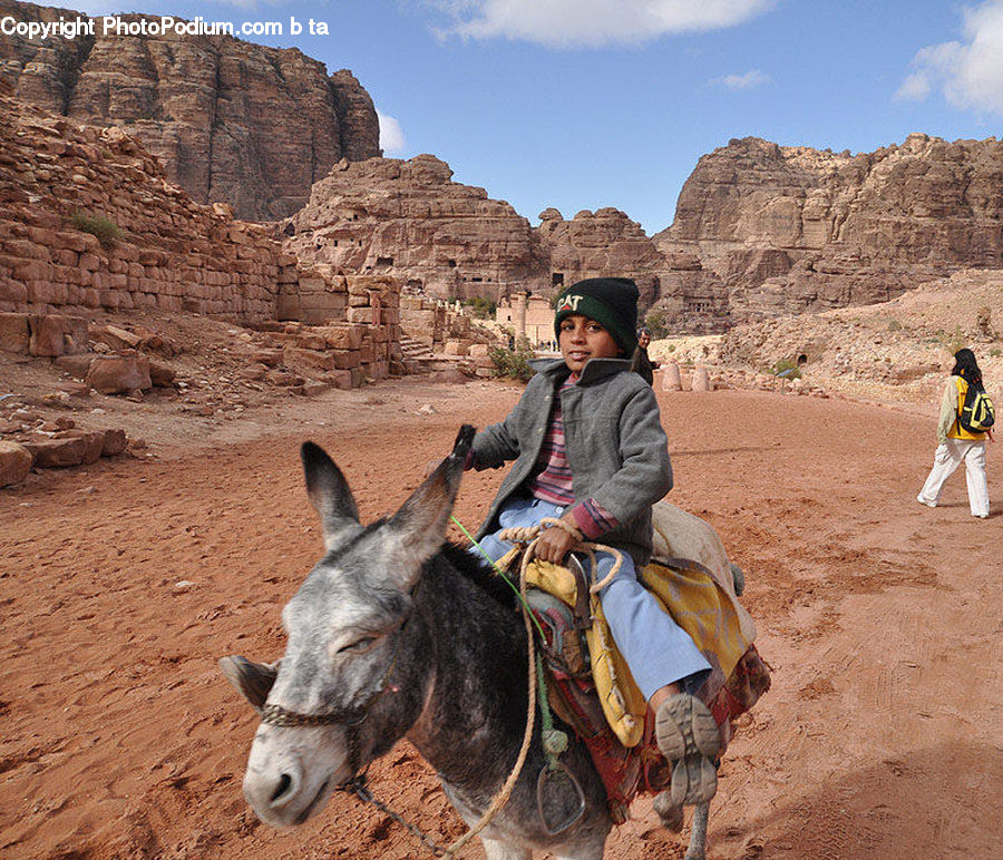 People, Person, Human, Animal, Donkey, Leisure Activities