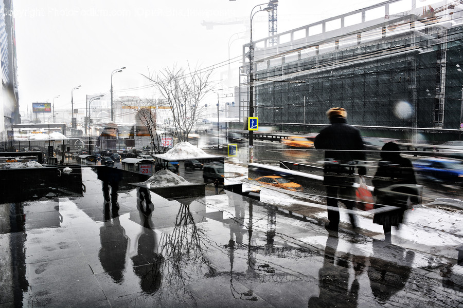 Human, People, Person, Back, Dock