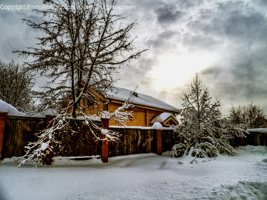 Building, Cottage, House, Housing, Outdoors
