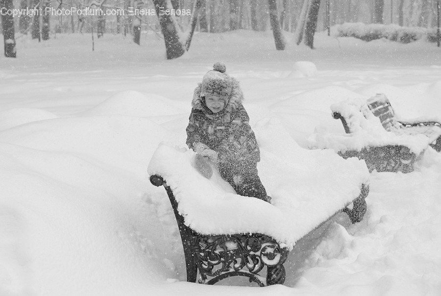 Blizzard, Nature, Outdoors, Snow, Storm
