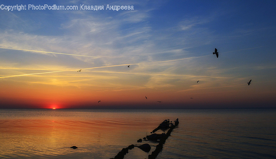 Coast, Nature, Ocean, Outdoors, Sea