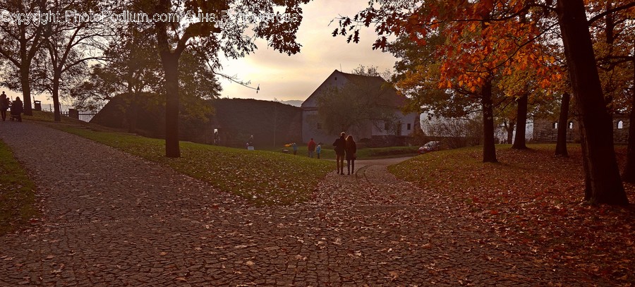 Dirt Road, Gravel, Road, Park, Countryside