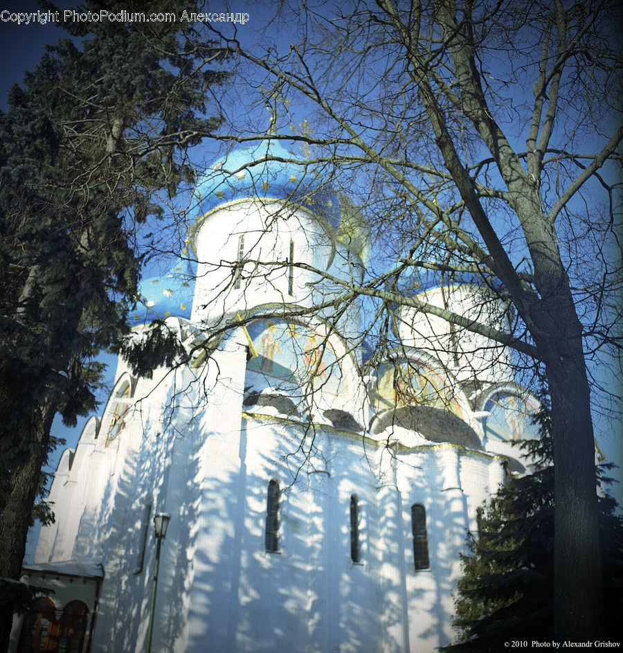 Architecture, Bell Tower, Building, Tower, Flora