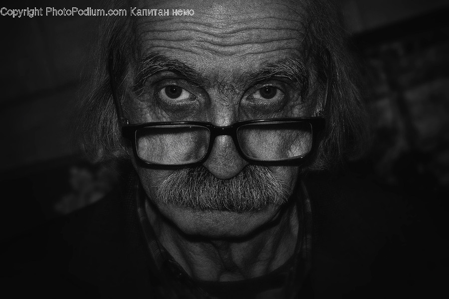 Face, Human, Person, Portrait, Head