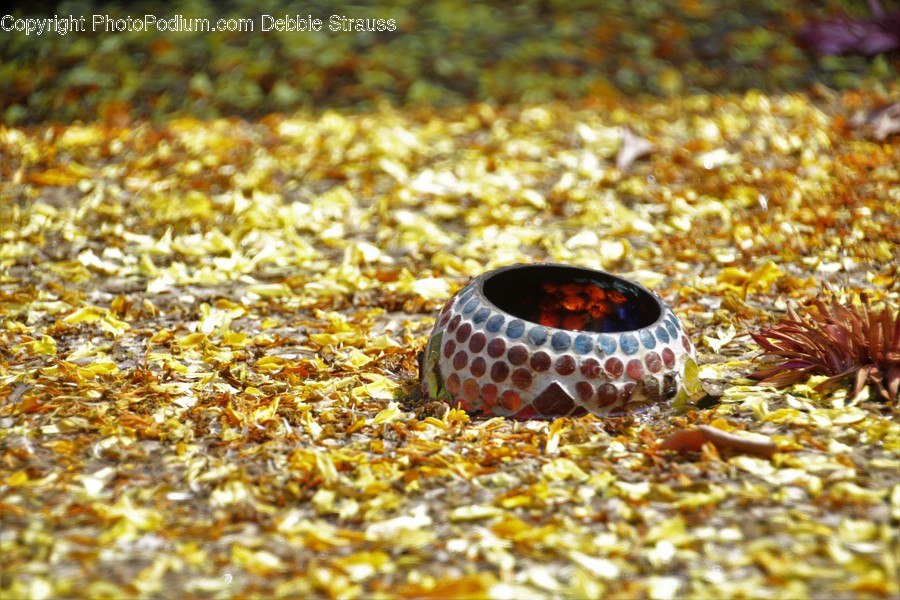 Dirt Road, Gravel, Road, Pot, Flora