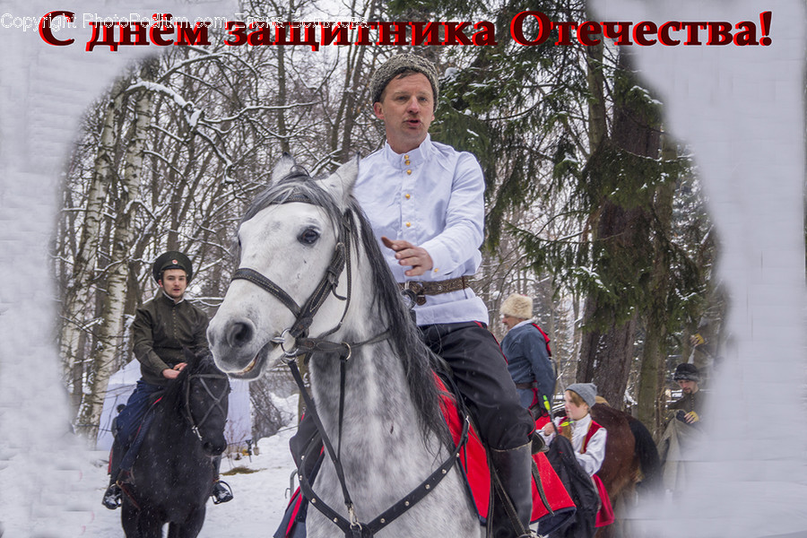 Human, People, Person, Animal, Horse