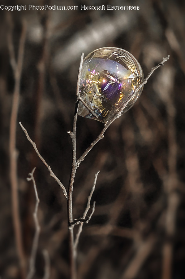 Diamond, Gemstone, Jewelry, Ornament