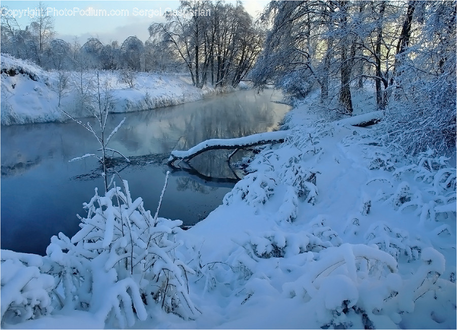 Outdoors, Snow, Flora, Forest, Land