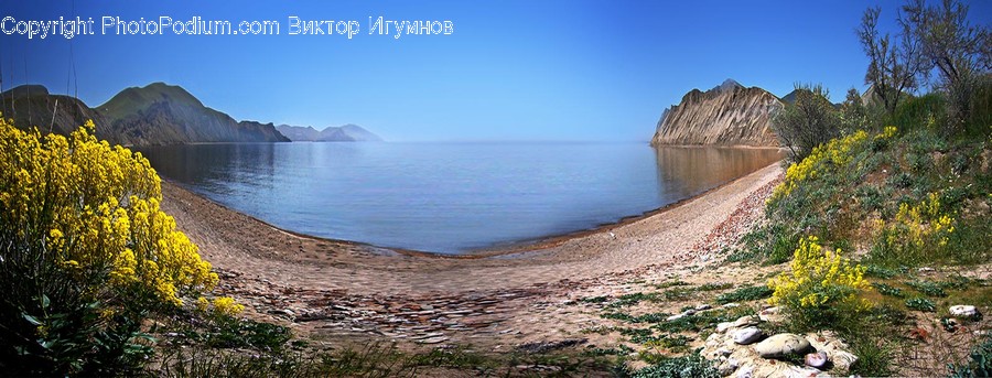 Cliff, Outdoors, Conifer, Flora, Plant