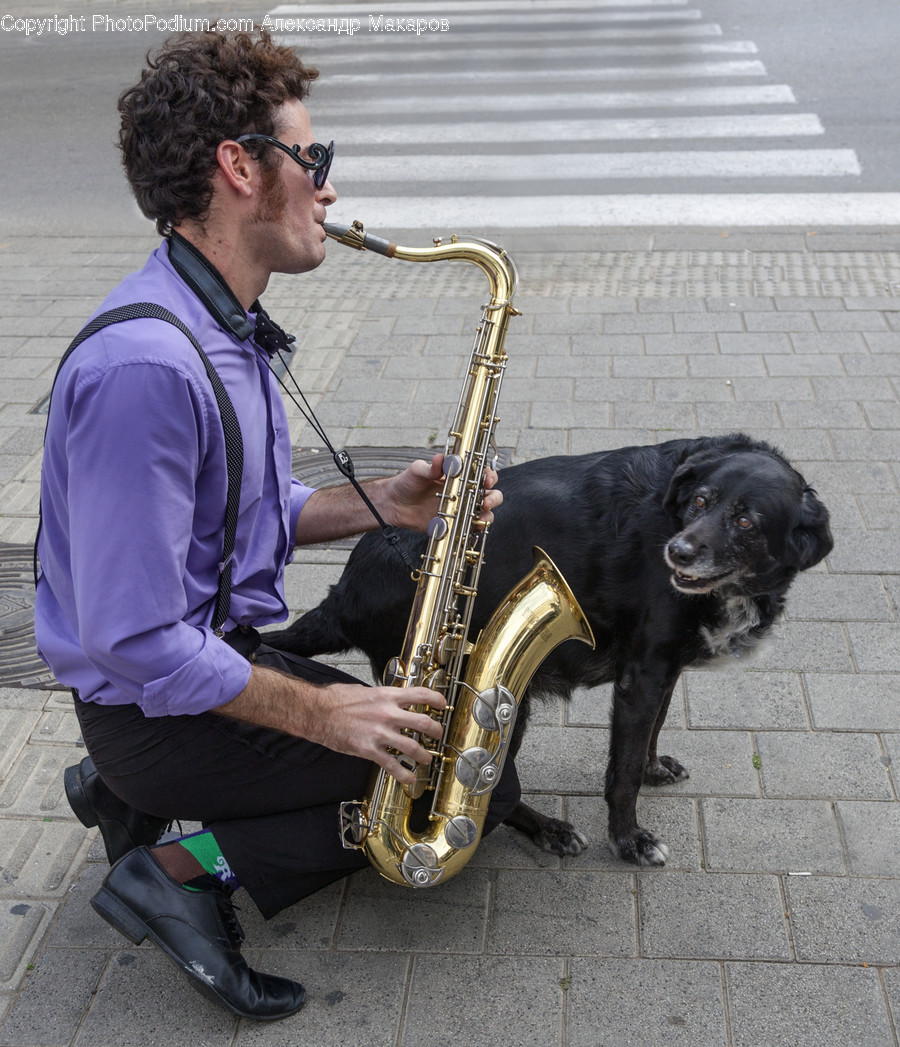 Human, People, Person, Leisure Activities, Music