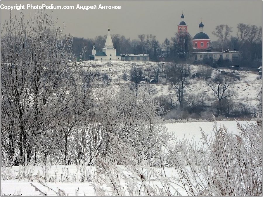 Ice, Outdoors, Snow, Countryside, Forest, Vegetation