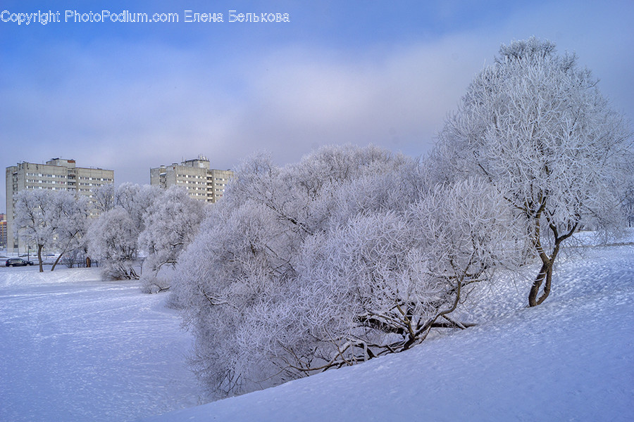 Frost, Ice, Outdoors, Snow, Landscape