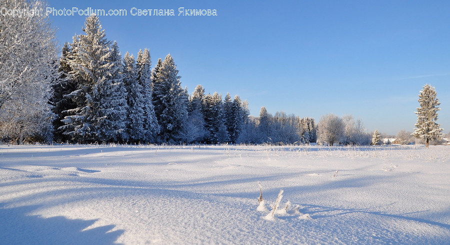 Landscape, Nature, Outdoors, Scenery, Plateau