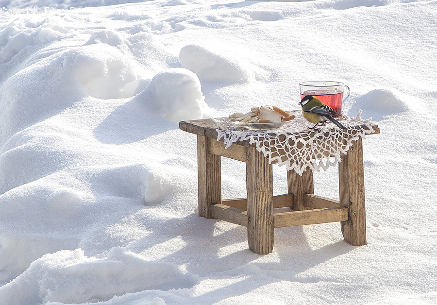 Outdoors, Snow, Biscuit, Cookie, Food