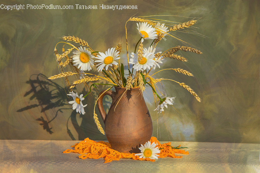 Flora, Jar, Plant, Potted Plant, Pottery