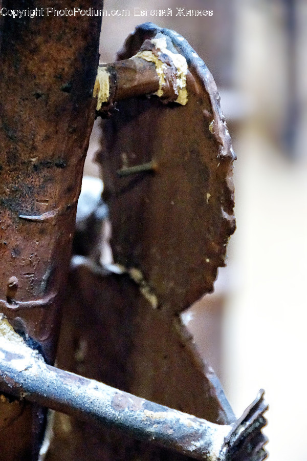 Rust