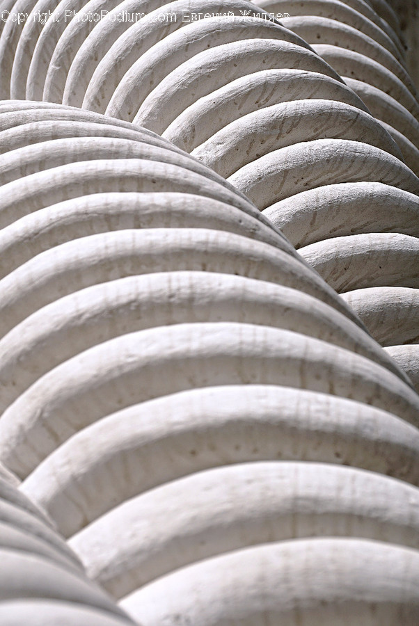 Hose, Architecture, Building, Dome, Flora