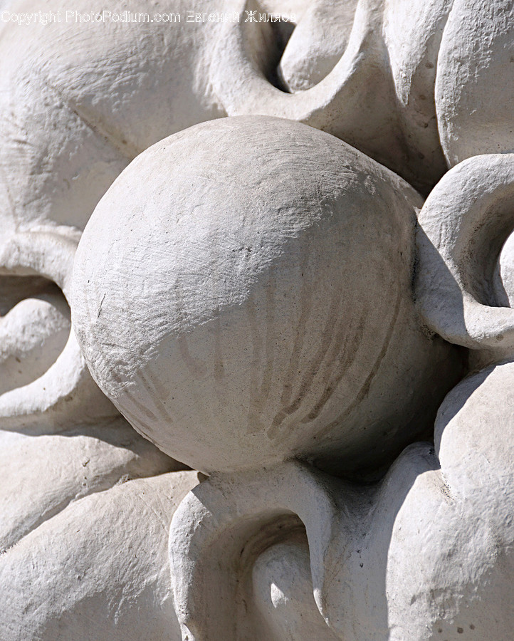 Rock, Fungus, Outdoors, Sand, Soil