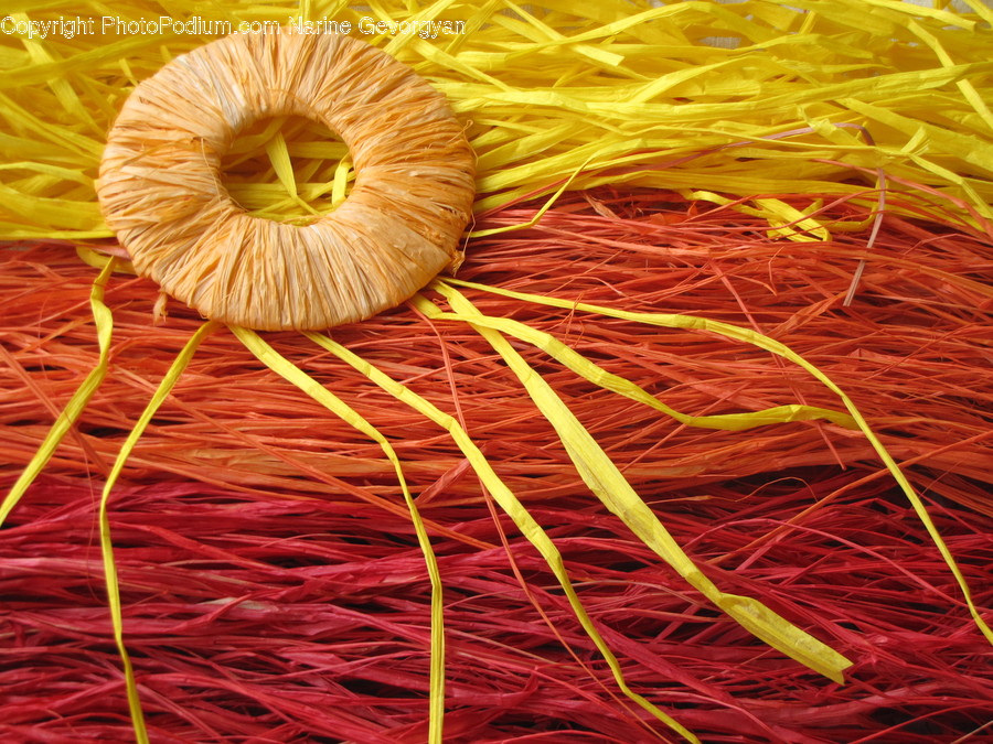 Food, Noodle, Pasta, Vermicelli, Fungus