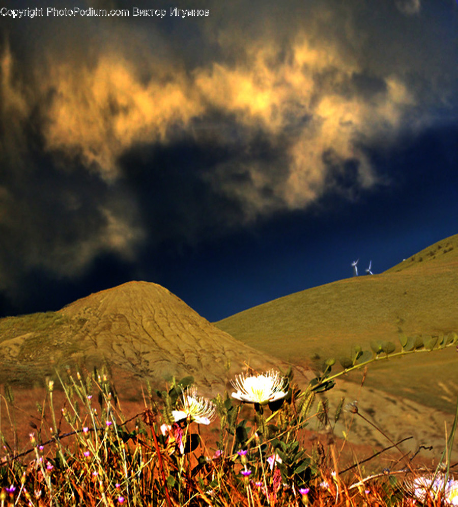 Field, Grassland, Outdoors, Desert, Nature