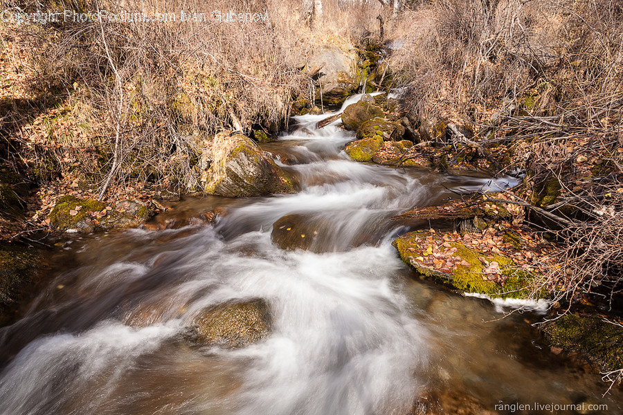 Creek, Outdoors, Stream, Water, River