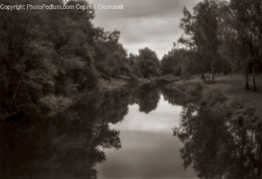Canal, Outdoors, Water, Flora, Plant