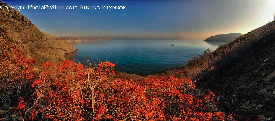 Landscape, Nature, Outdoors, Scenery, Coast