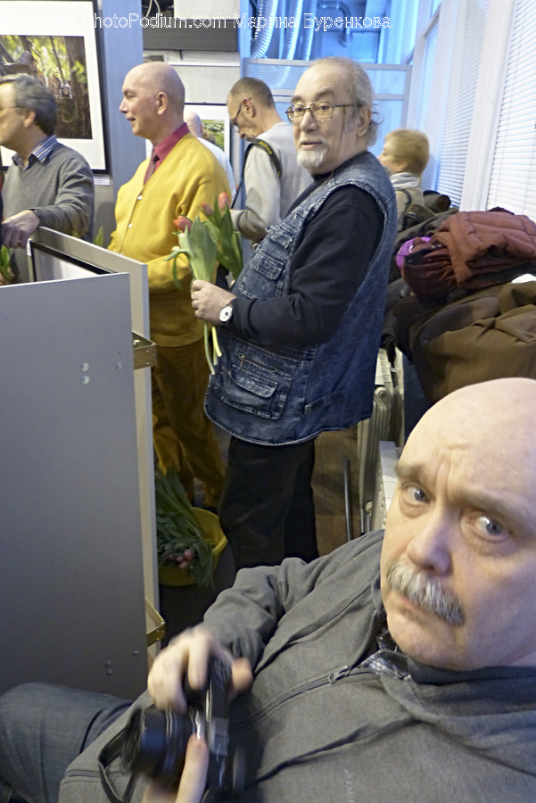 Human, People, Person, Computer, Electronics