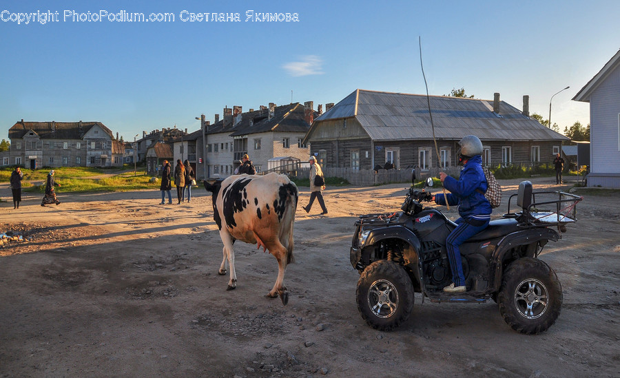 Atv, Transportation, Vehicle, Human, People